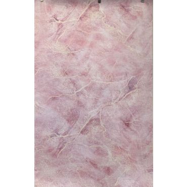 Evant Modern Design Pink Area Rug