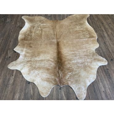 Lion Cow Hide