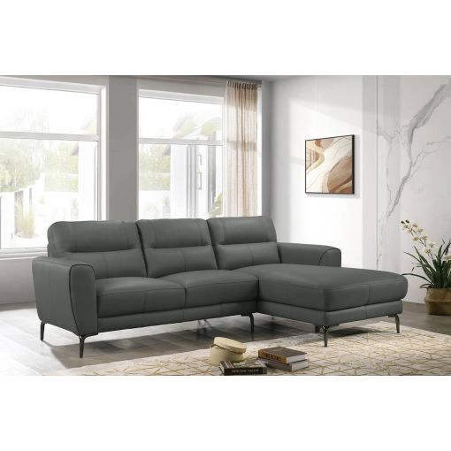 Jarvis Top Grain Leather Sectional
