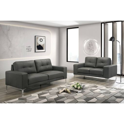 Tarryn Grey Leather 2-Piece Sofa Set