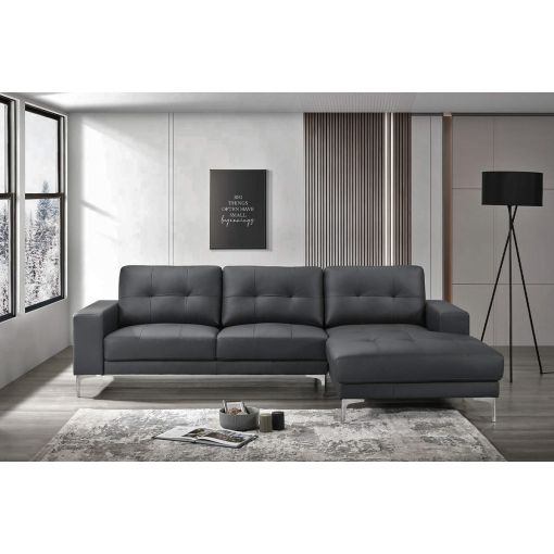 Tarryn Modern Sectional Black Leather