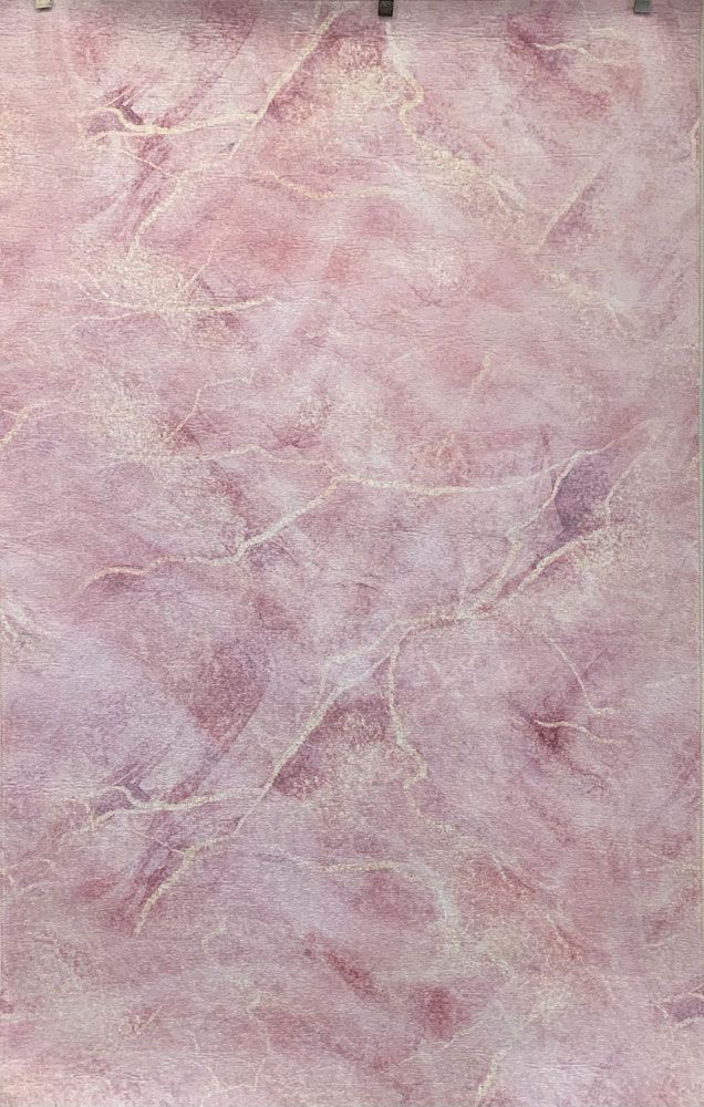 Evant Modern Design Pink Area Rug