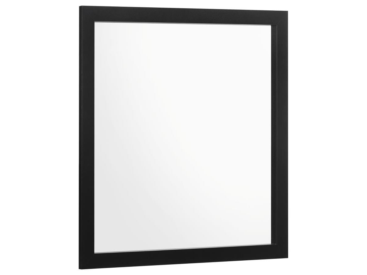 Raina Black Finish Mirror