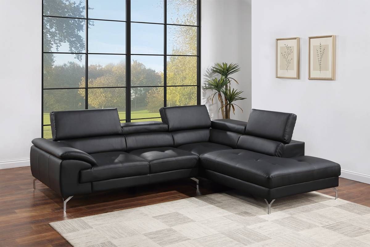 Renata Black Leather Sectional